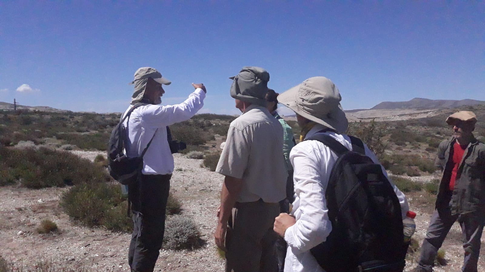 Botanical trip to the gypsum area in Neuquén – Gypworld.com