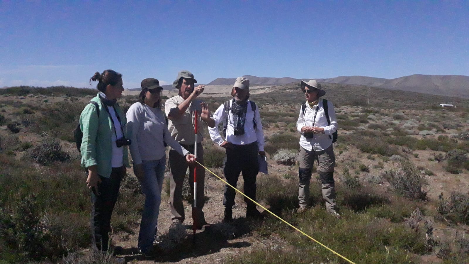 Botanical trip to the gypsum area in Neuquén – Gypworld.com